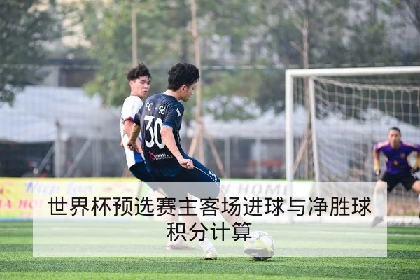世界杯预选赛主客场进球与净胜球积分计算