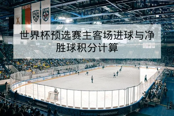 世界杯预选赛主客场进球与净胜球积分计算